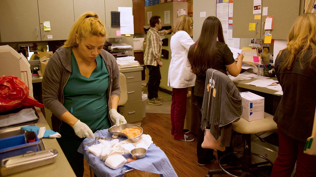 dr. pimple popper