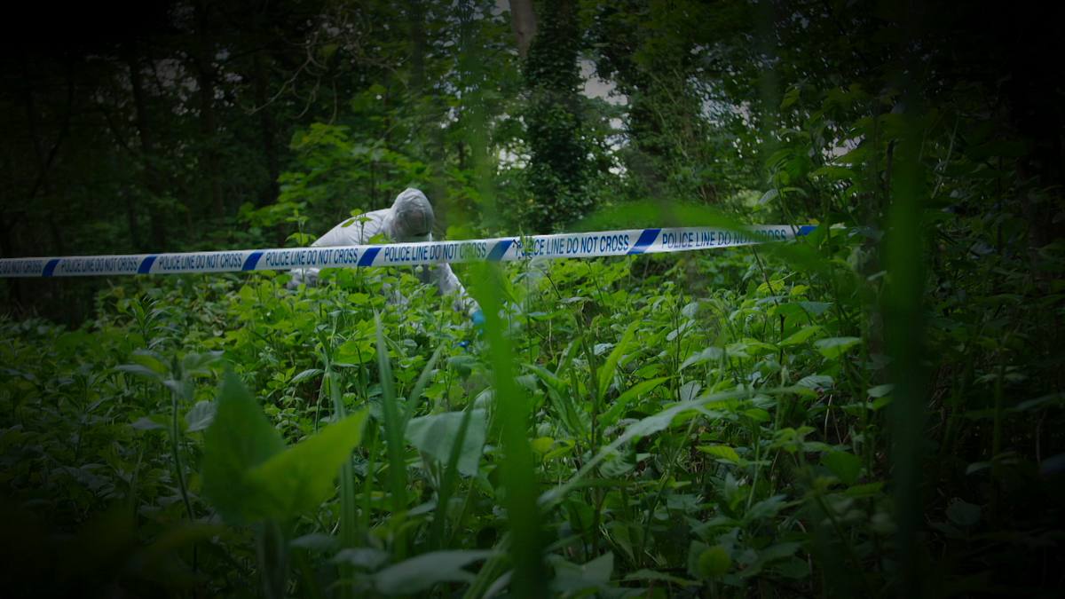 expert witness - forensiker auf spurensuche
