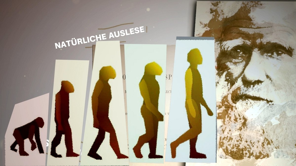 wie gut sind unsere gene? - das wunder menschlicher anpassung