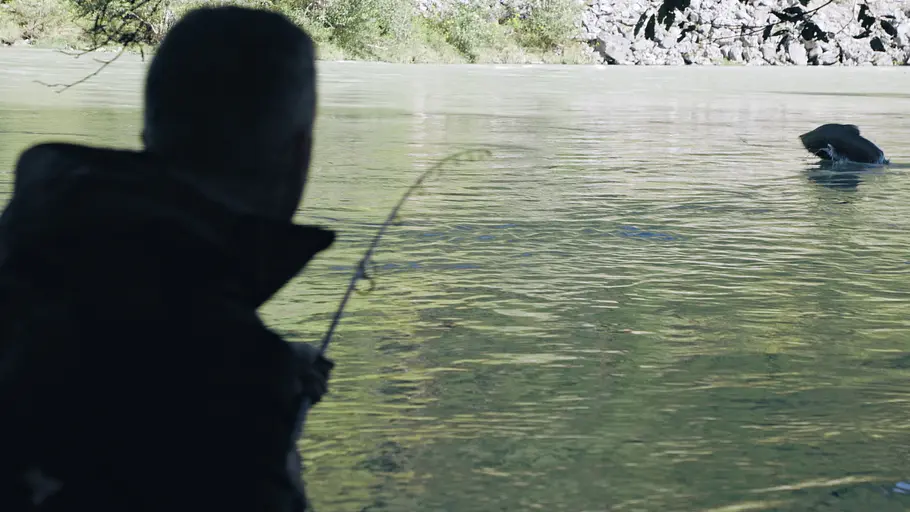 Giganten unter Wasser - Riesenfischen auf der Spur giganten unter wasser - riesenfischen auf der spur