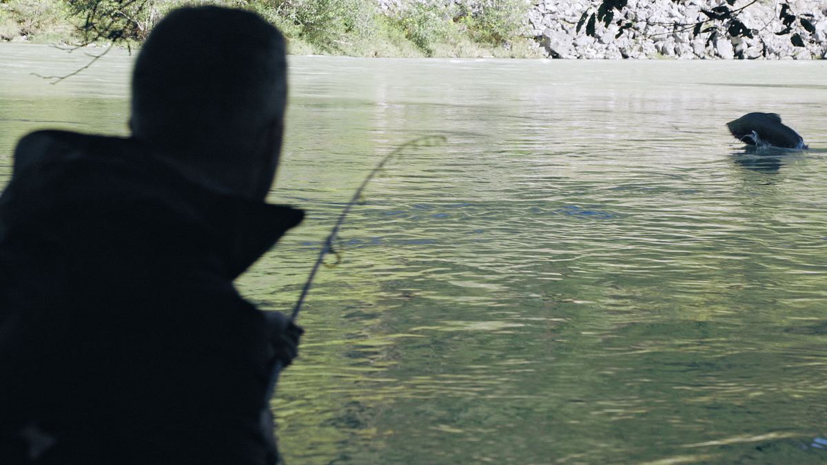 giganten unter wasser - riesenfischen auf der spur