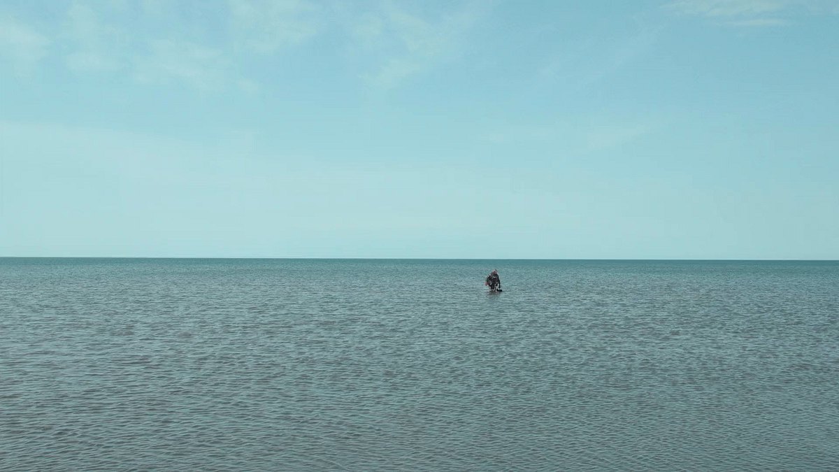 trees floating: die zähmung des gartens