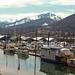 Haus gesucht in Alaska Thumbnail