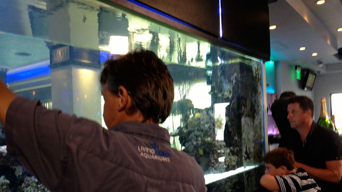 fish tank kings - gigantische wasserwelten