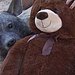 Das Waisenhaus für wilde Tiere - Abenteuer Afrika Thumbnail