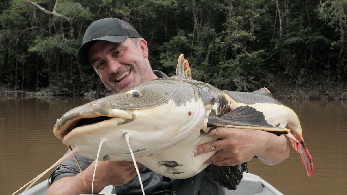 monsterfische am haken