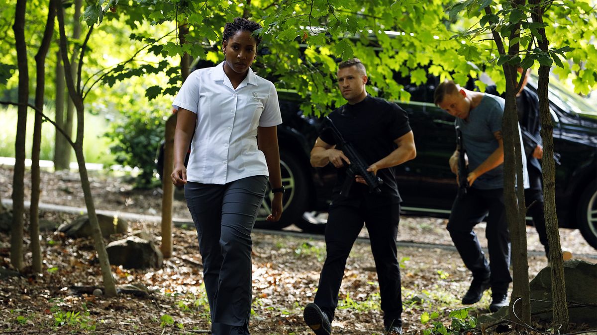 The Blacklist the blacklist