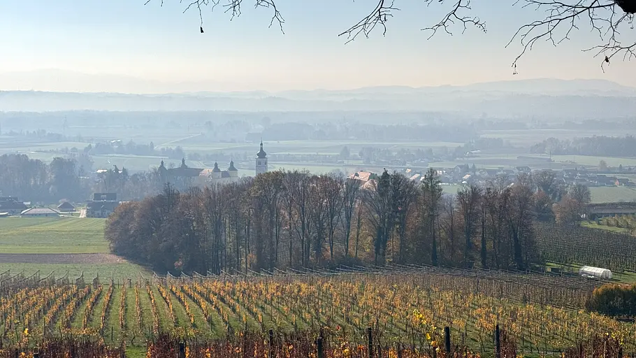 das slowenische weinland: jeruzalem, der šipon und das erbe der habsburger