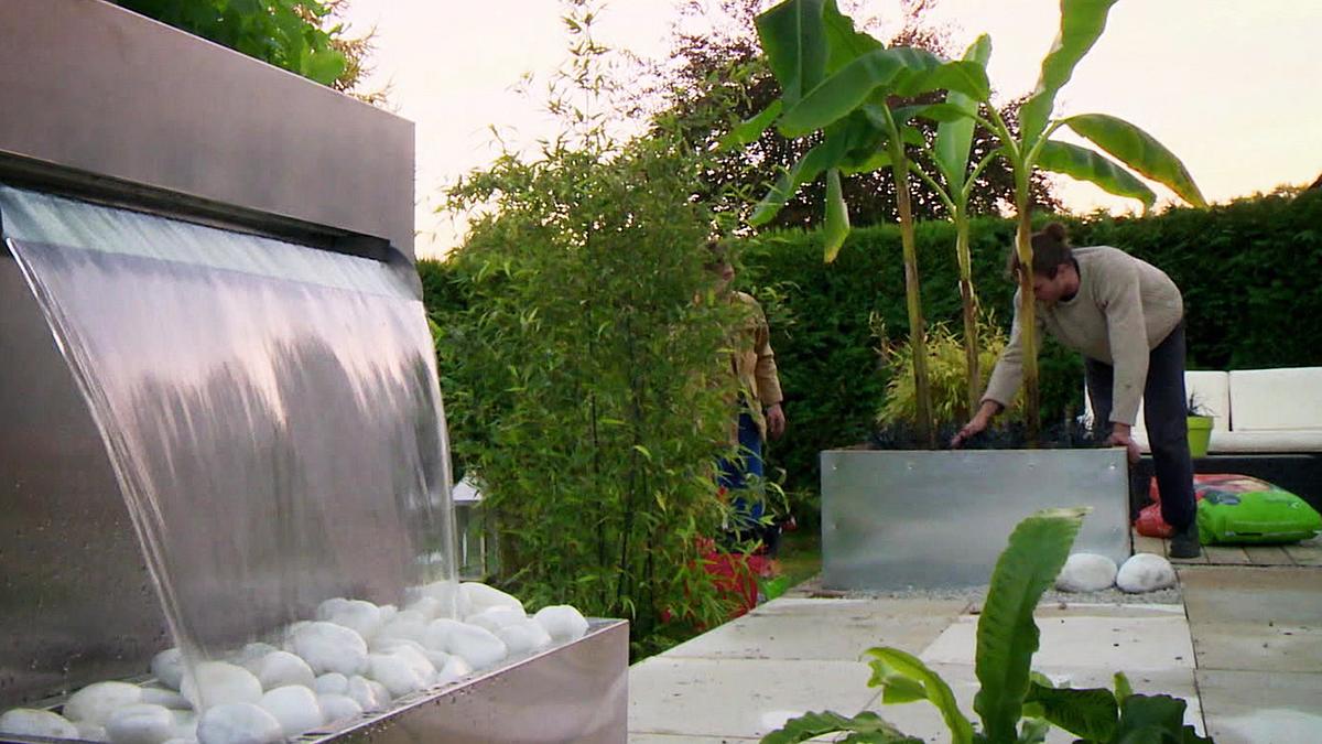 garden rescue: wer rettet meinen garten?