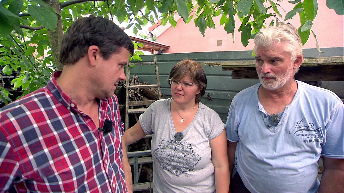 der trödeltrupp - das geld liegt im keller