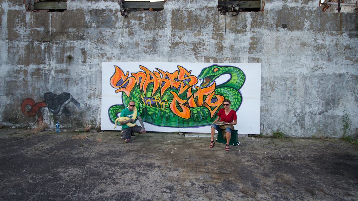 snakes in the city