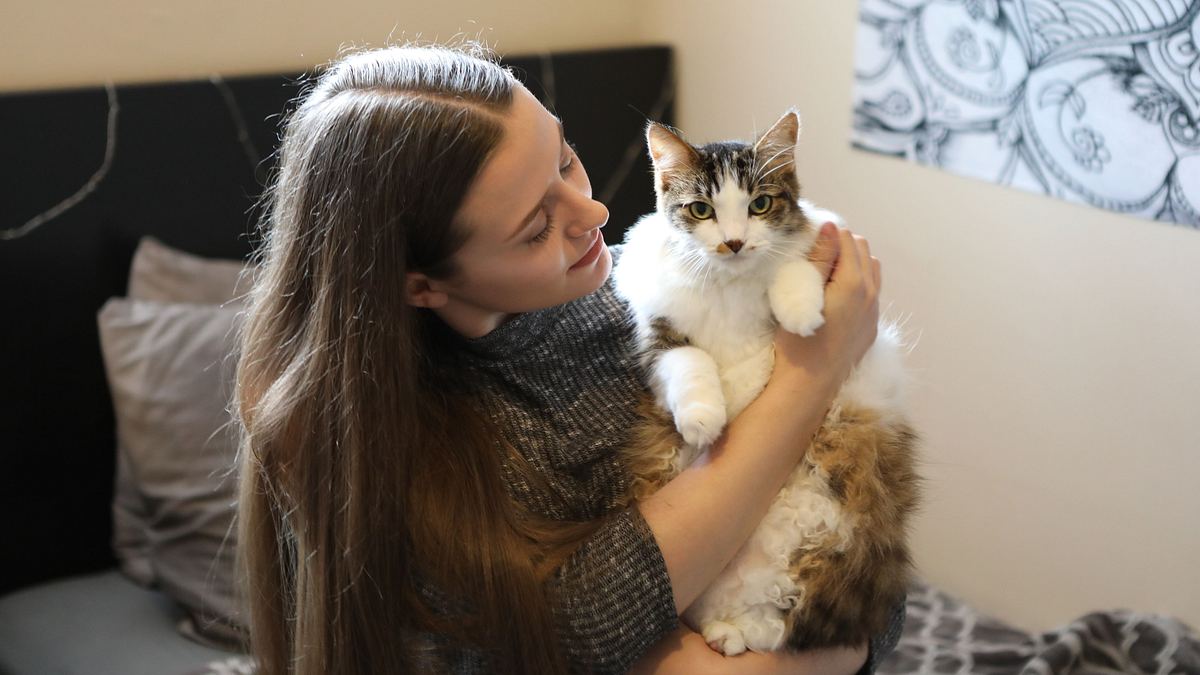 der katzenflüsterer