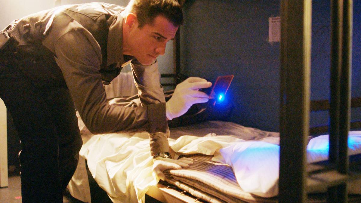 csi: den tätern auf der spur