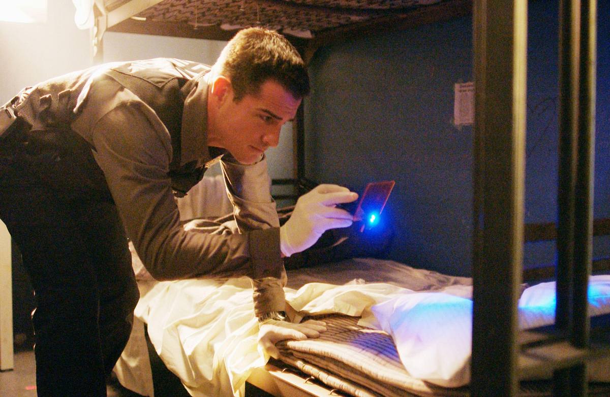 csi: den tätern auf der spur