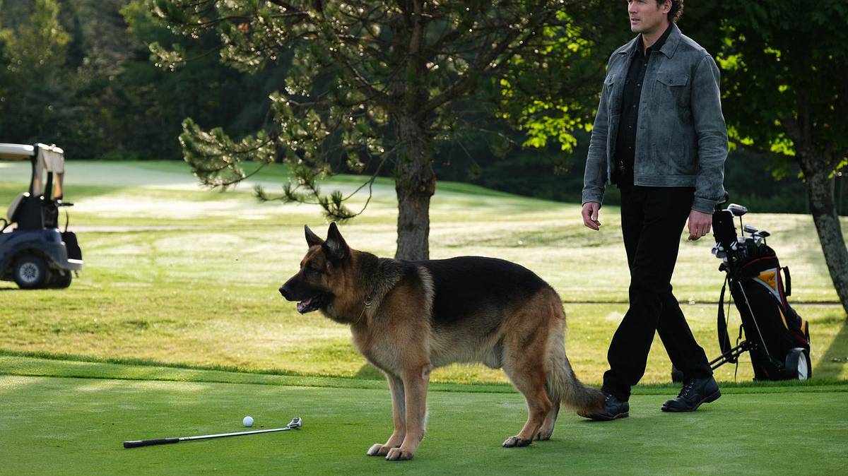 hudson & rex