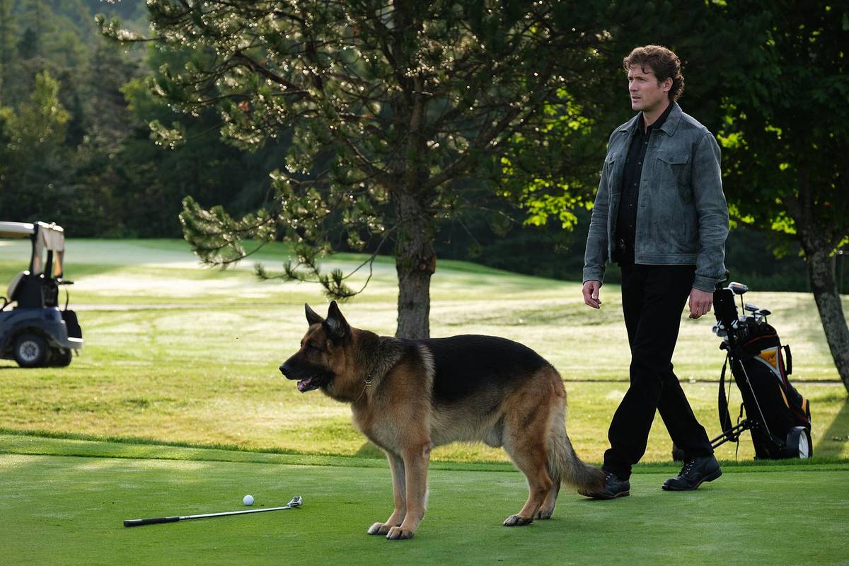 hudson & rex