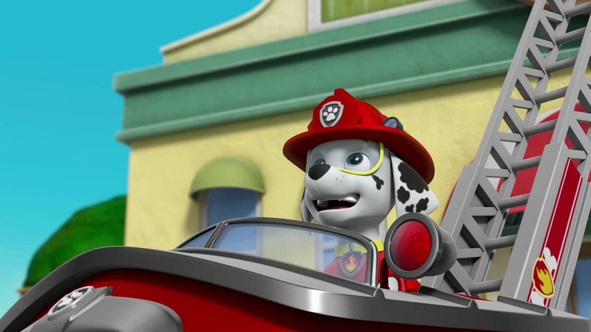 paw patrol - helfer auf vier pfoten