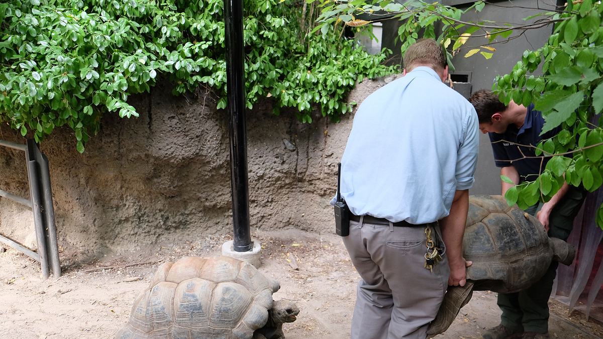 bronx zoo - tierpark der superlative