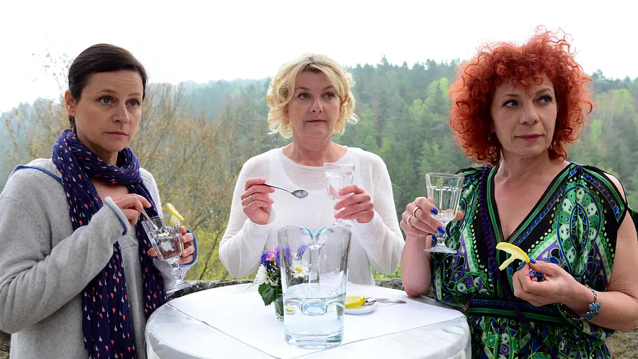 die dienstagsfrauen - sieben tage ohne