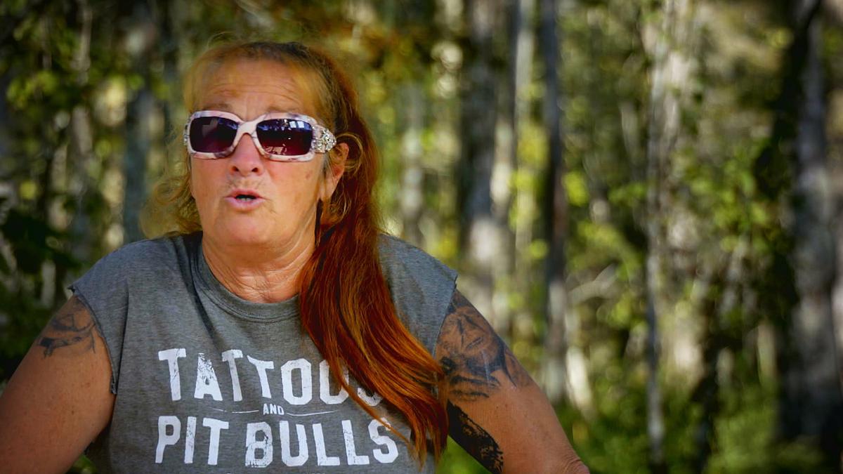pitbulls auf bewährung