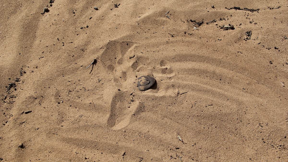 auf den spuren der aliens