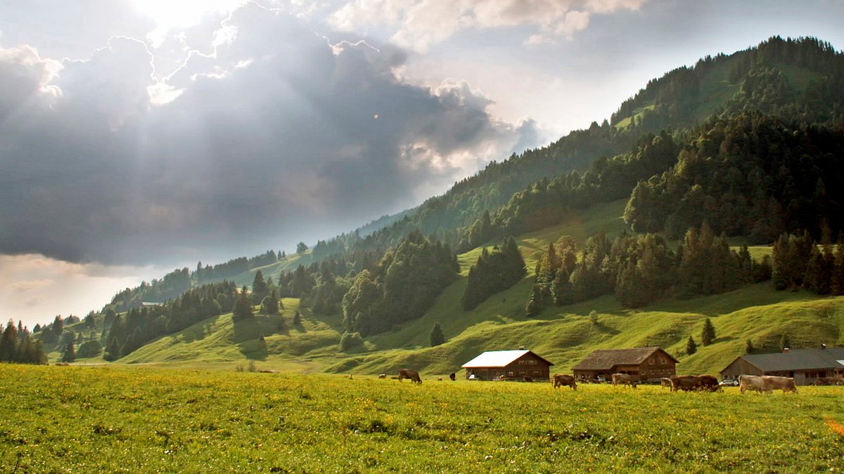 heimat in den alpen