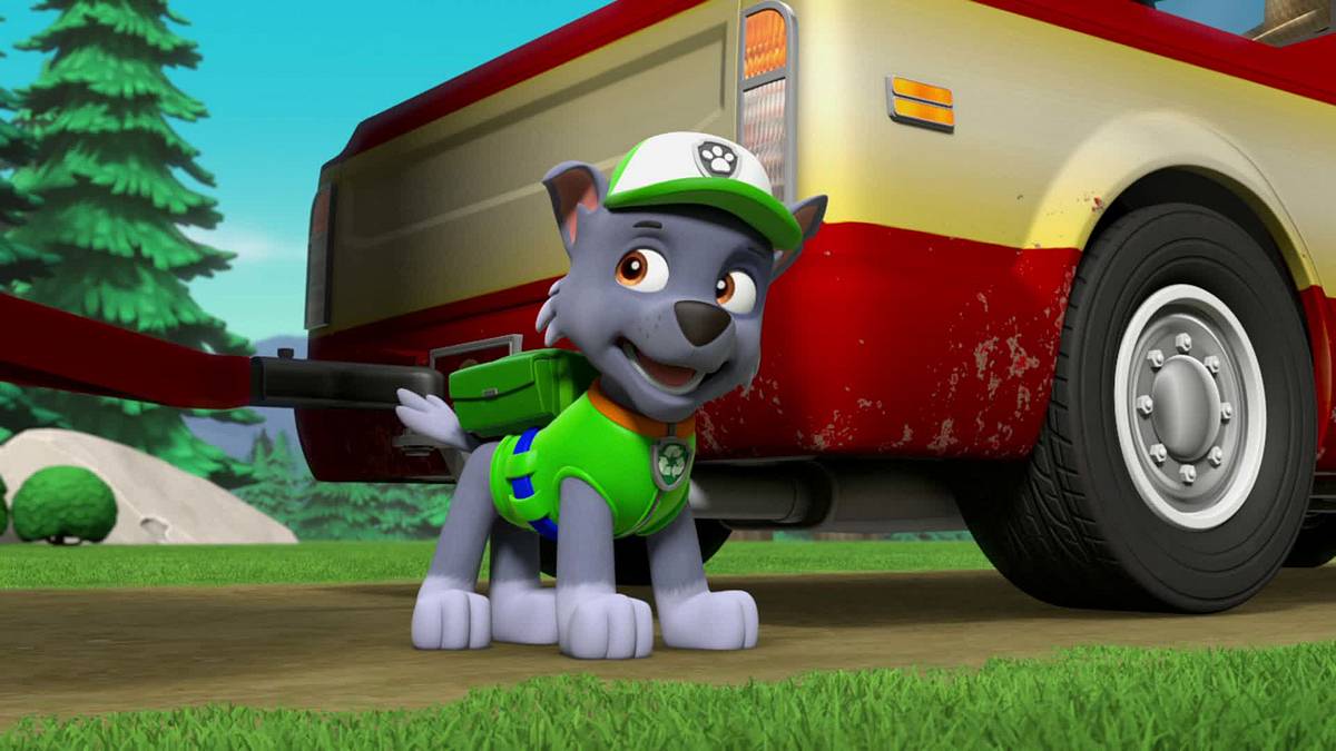 Paw Patrol - Helfer auf vier Pfoten paw patrol - helfer auf vier pfoten