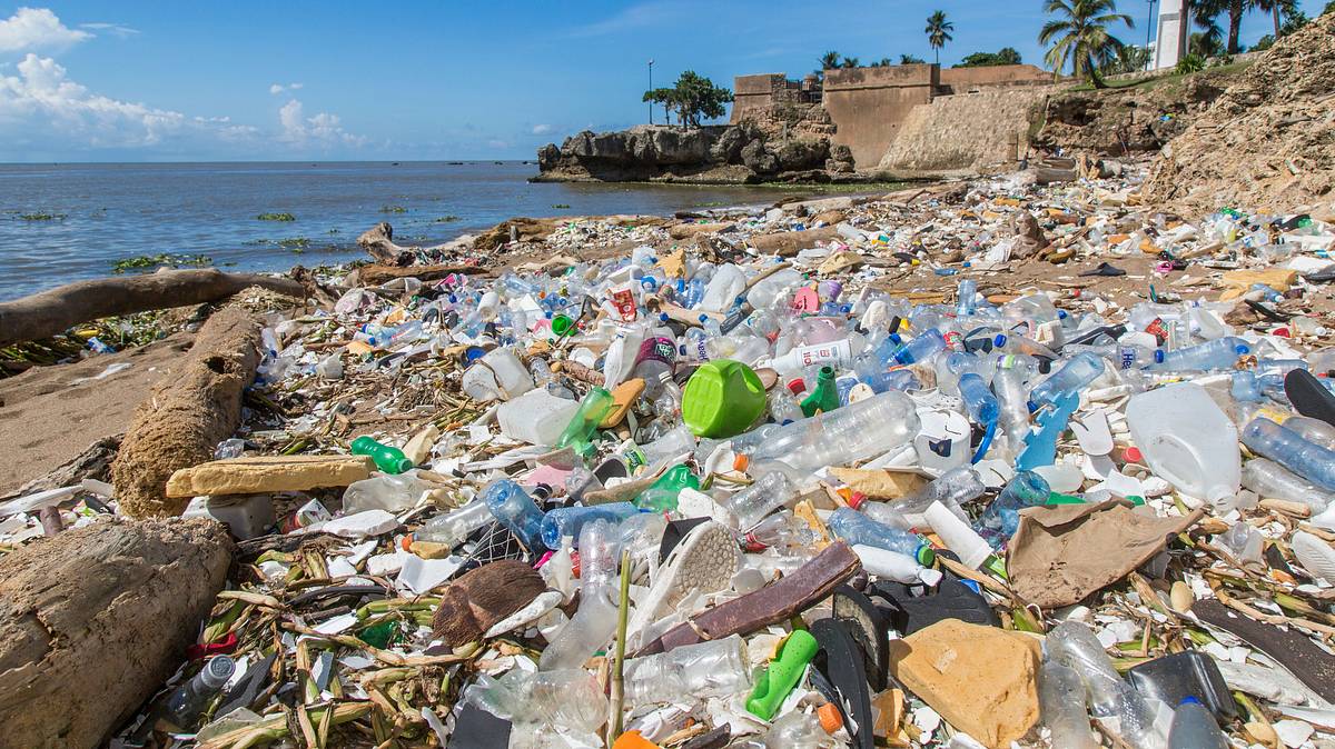 plastikmüll - die globale umweltkatastrophe