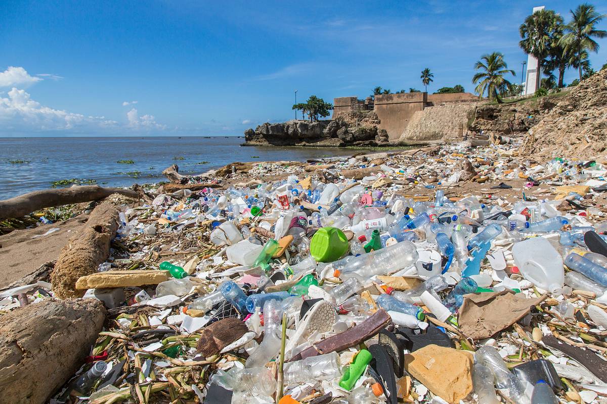plastikmüll - die globale umweltkatastrophe