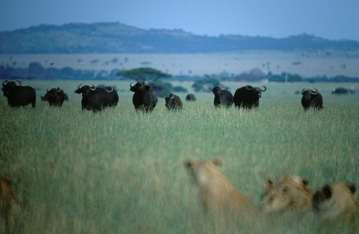Tierisch abgefahren tierisch abgefahren