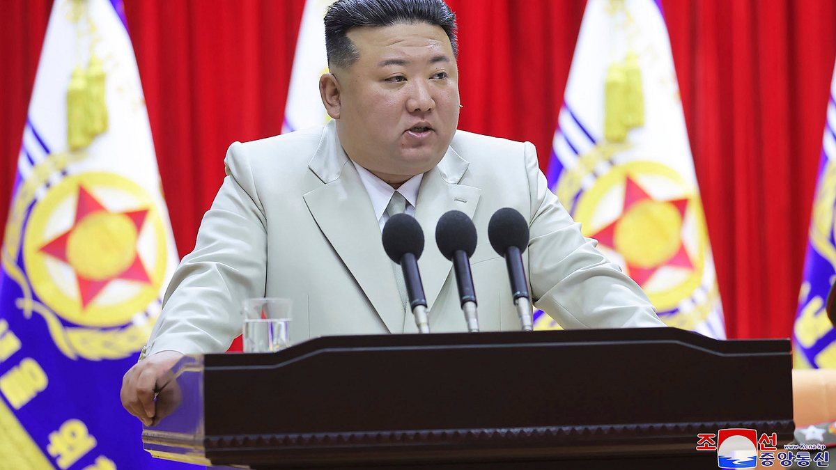 nordkoreas kim jong-un - zum diktator geboren