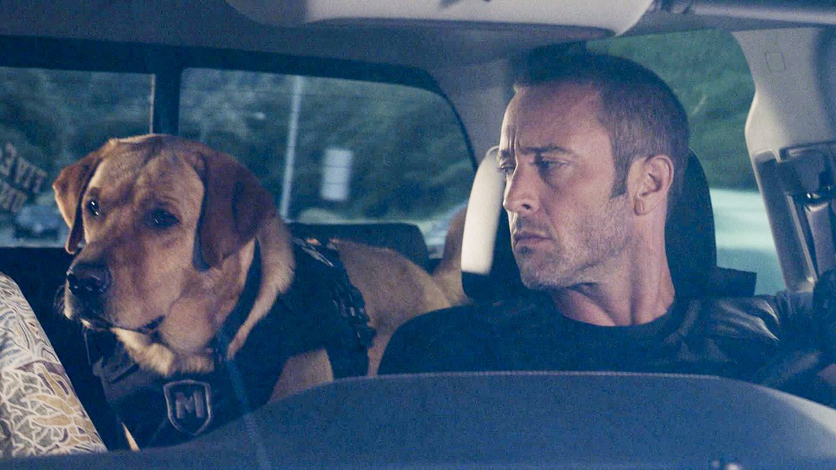 hawaii five-0