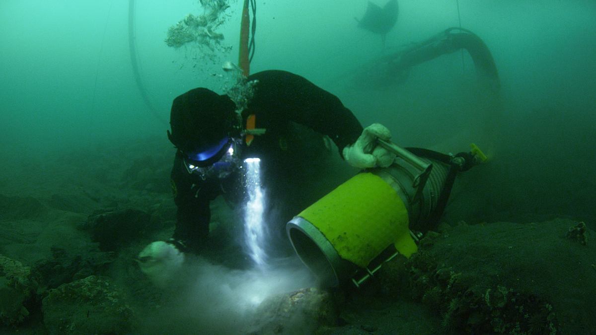die schatzsucher - goldtaucher der beringsee