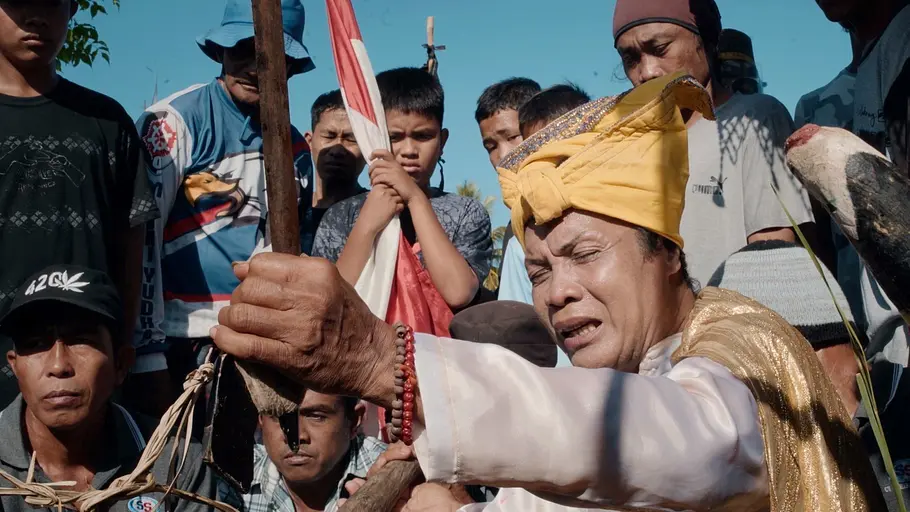 die fünf geschlechter von sulawesi
