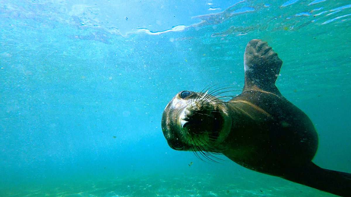 bronx zoo - tierpark der superlative