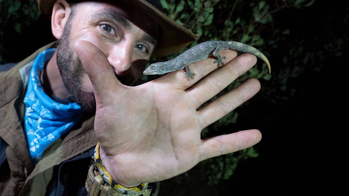 faszinierende tierwelt mit coyote peterson