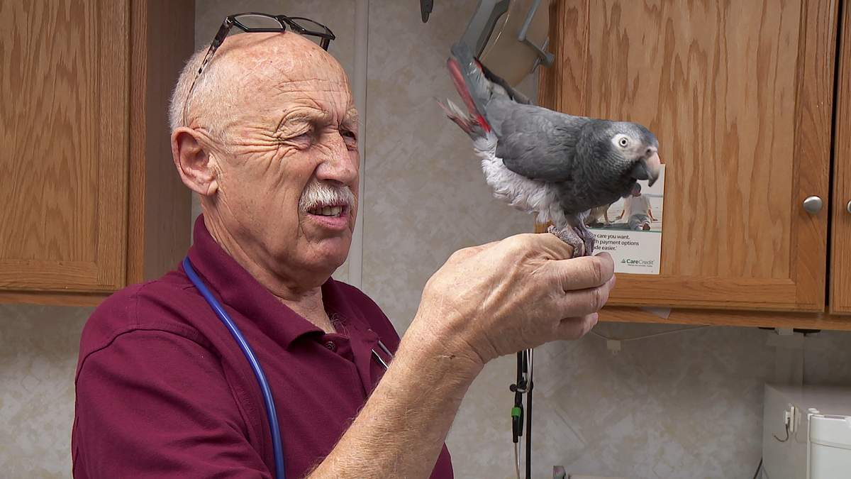 der unglaubliche dr. pol