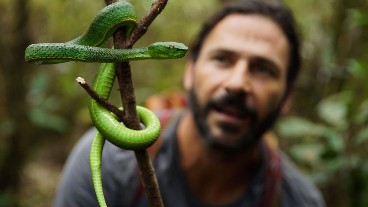 extreme survival mit hazen audel