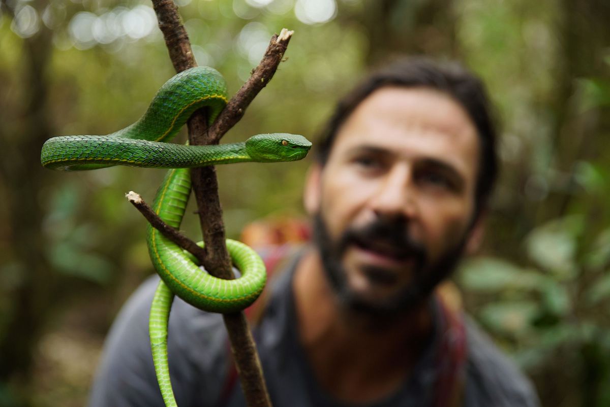 extreme survival mit hazen audel