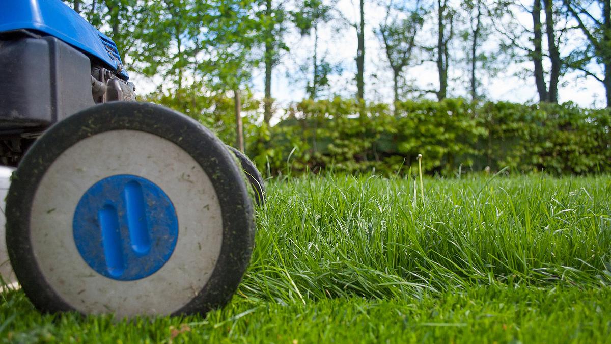 Nur die Harten kommen in den Garten - Hightech-Gartengeräte nur die harten kommen in den garten - hightech-gartengeräte