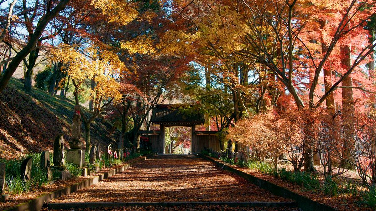 japan im licht der jahreszeiten