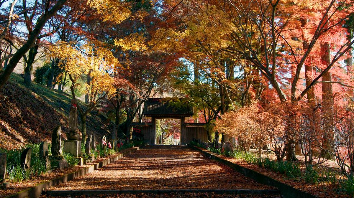 Japan im Licht der Jahreszeiten japan im licht der jahreszeiten