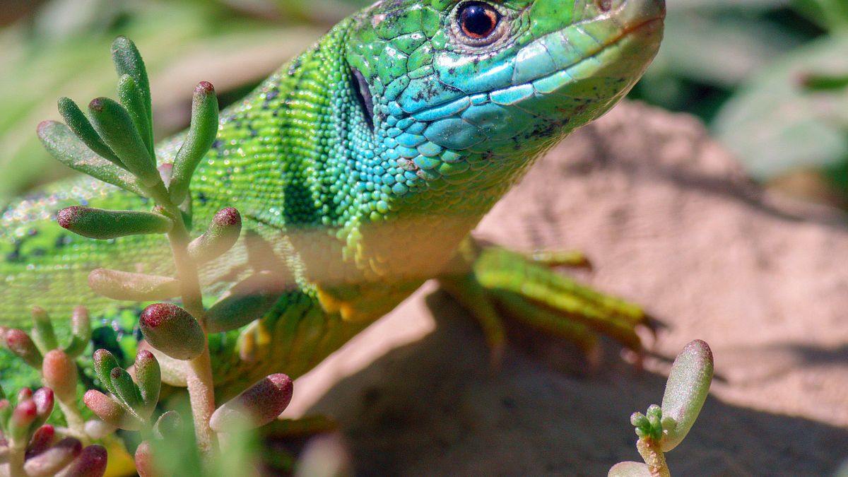 abenteuer wildnis