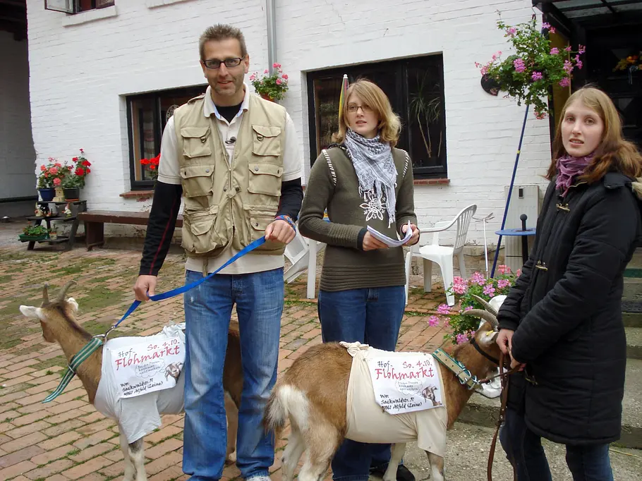 Der Trödeltrupp - Das Geld liegt im Keller der trödeltrupp - das geld liegt im keller