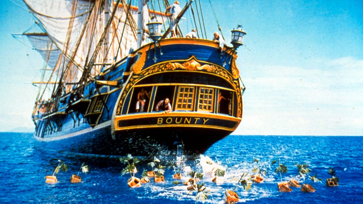 meuterei auf der bounty