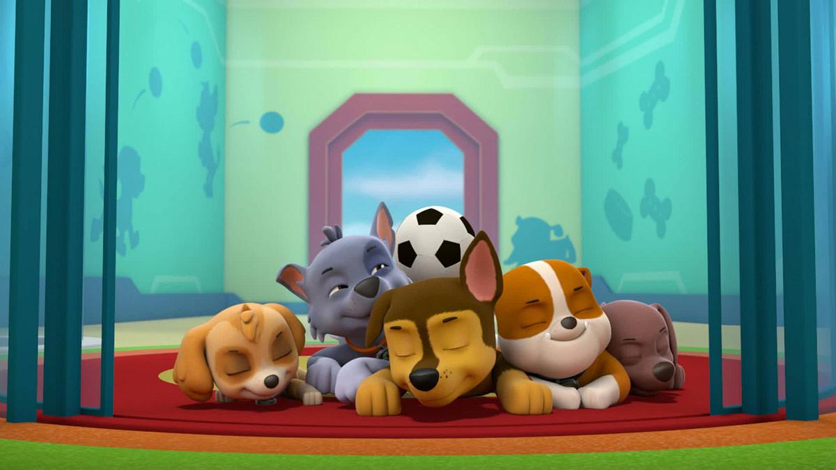 Paw Patrol - Helfer auf vier Pfoten paw patrol - helfer auf vier pfoten