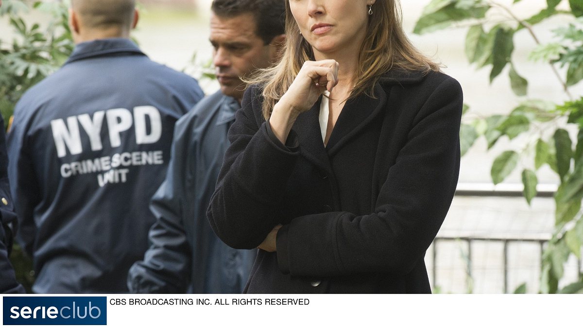 blue bloods - crime scene new york