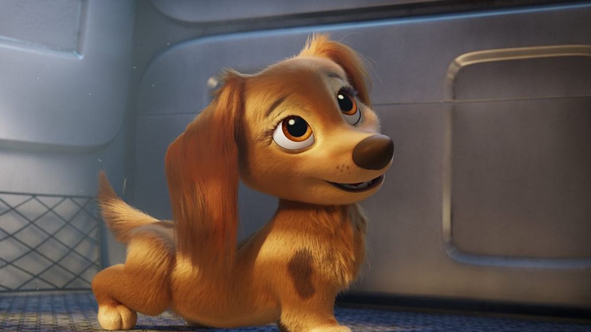 paw patrol - der kinofilm