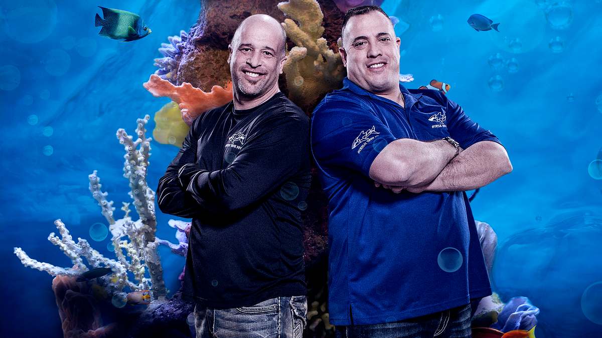 die aquarium-profis