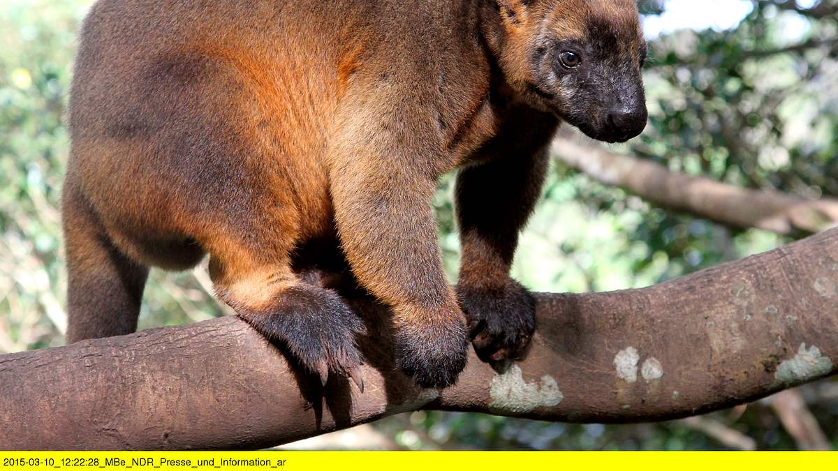abenteuer wildnis